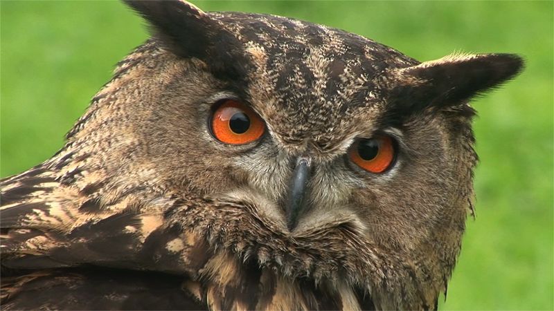 Parker Ito, Wipeout XL, © the artist, Courtesy White Cube