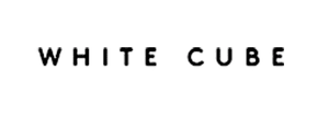 white cube.png